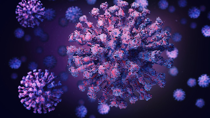 A graphic imagery of coronavirus